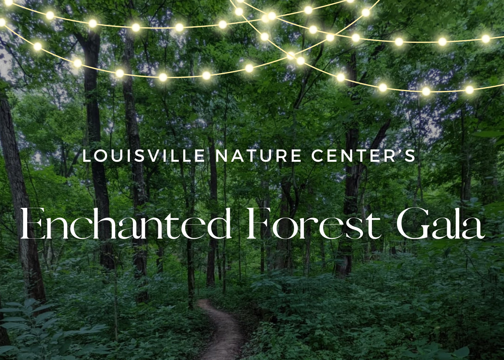 Campaign cover image for Enchanted Forest Gala
