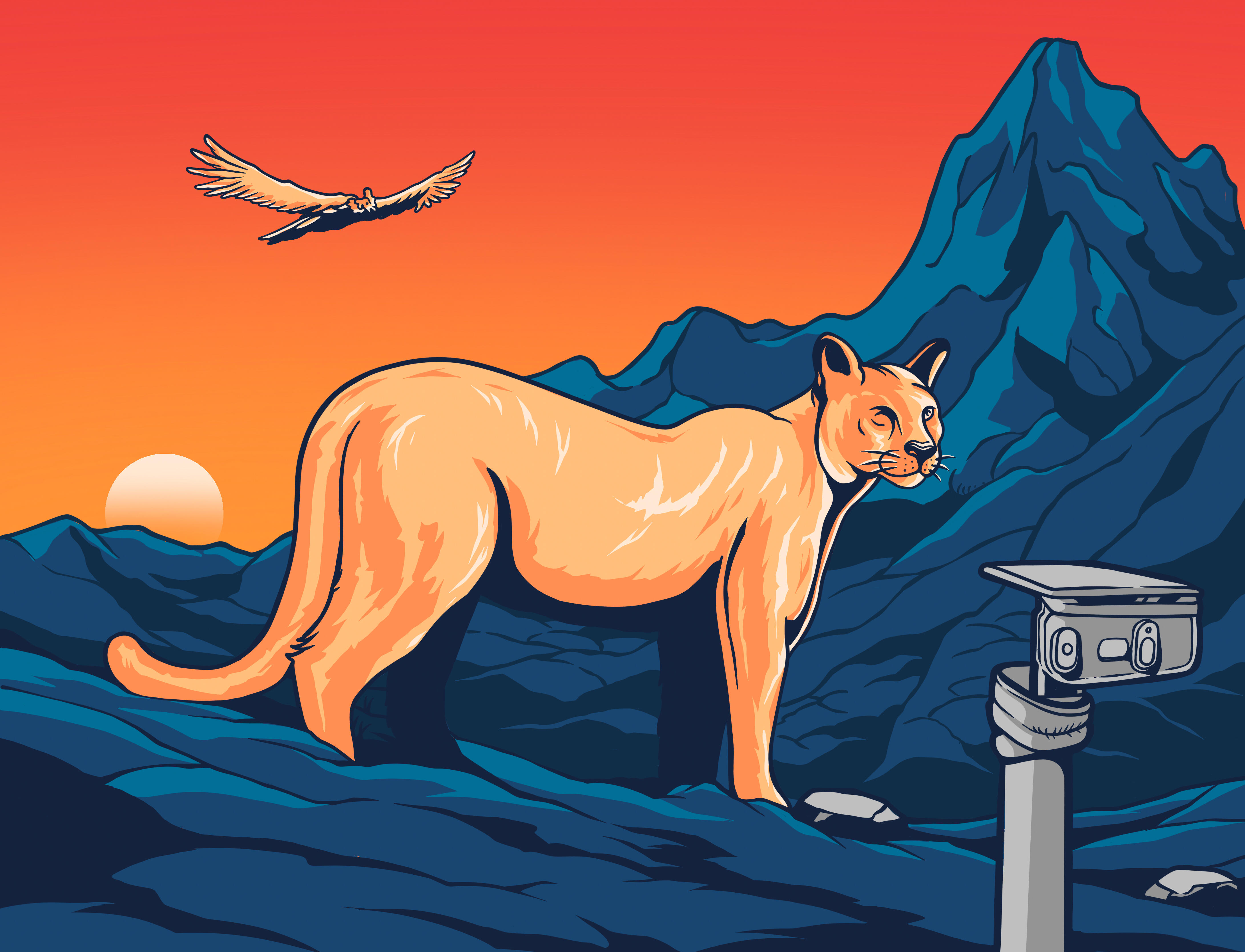 Campaign cover image for Project Patagonia