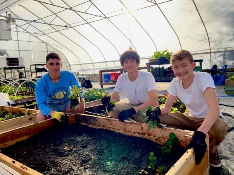 Campaign cover image for SJJ Greenhouse Fundraiser