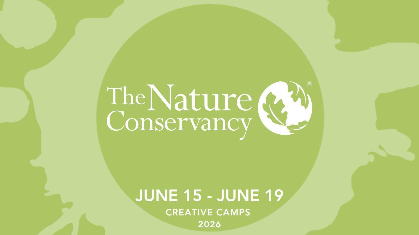 Campaign cover image for Creative Camp: The Nature Conservancy