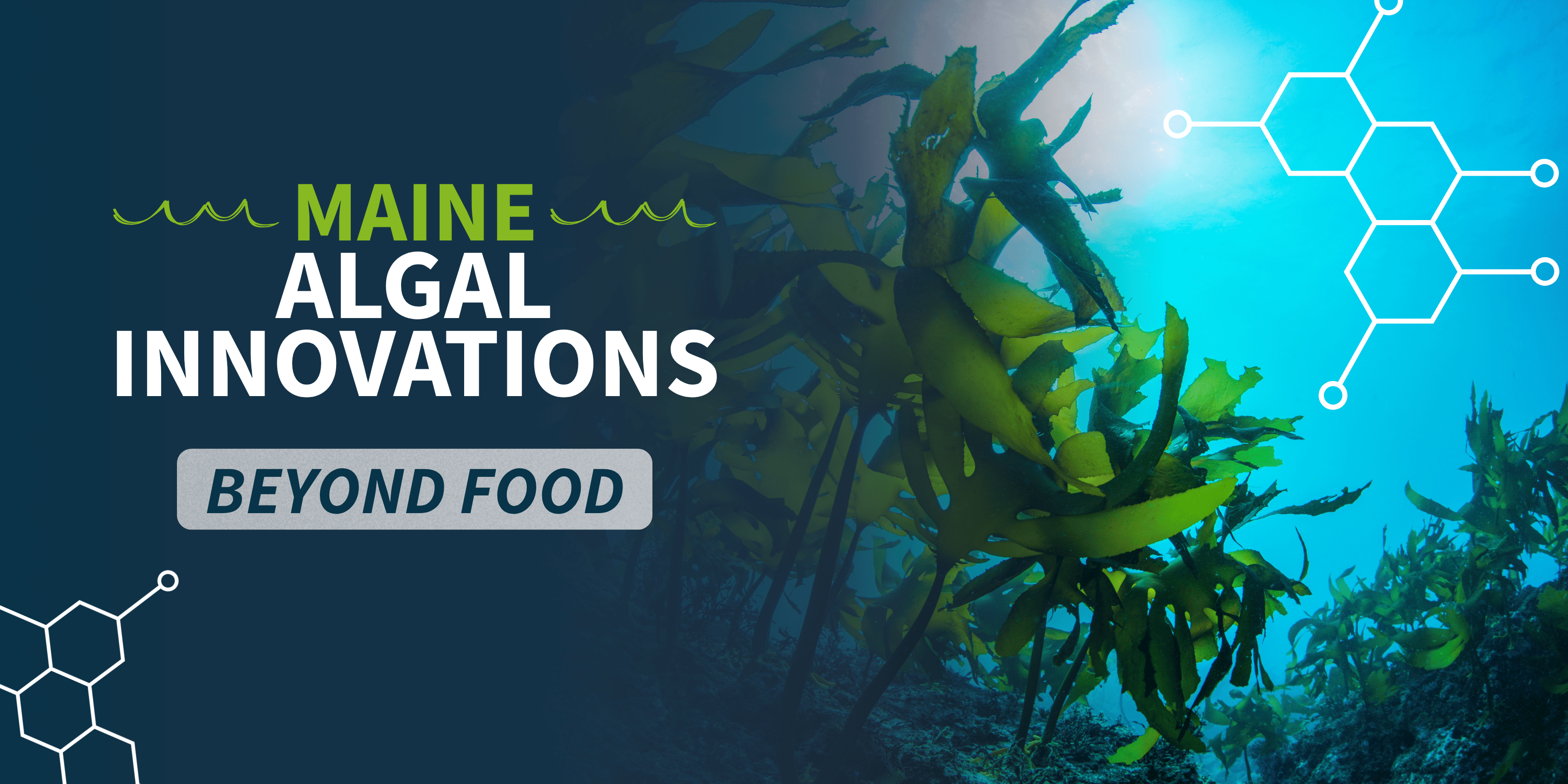 Campaign cover image for Maine Algal Innovations - Beyond Food