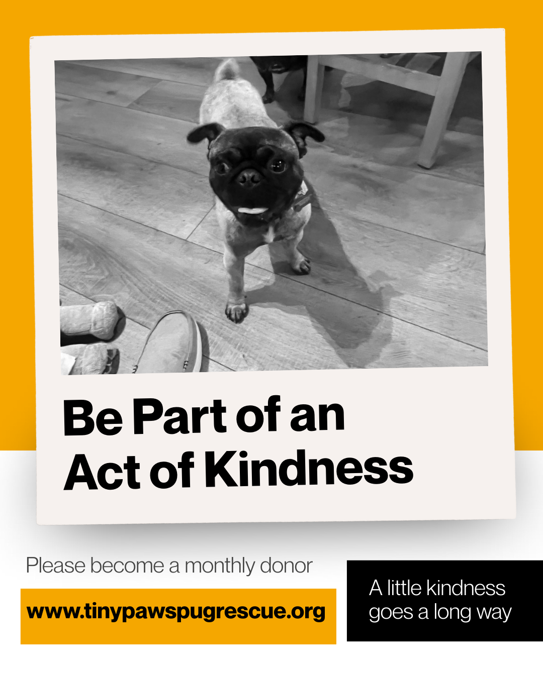 Campaign cover image for Giving Season - Help us Meet Our Goal