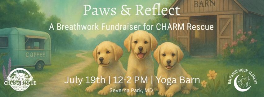 Campaign cover image for ✨ Paws and Reflect ✨