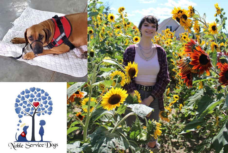 Campaign cover image for Service Dog for Amanda