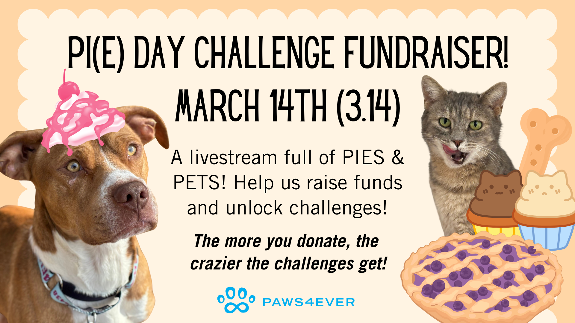 Campaign cover image for Pi(e) Day Challenge Fundraiser 2026