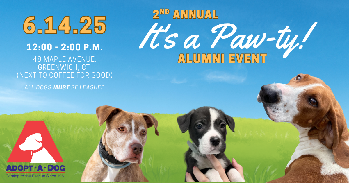 Campaign cover image for 2nd Annual Alumni Event