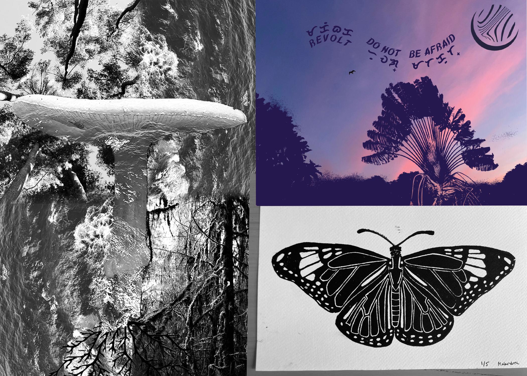 Campaign cover image for CEI Prints