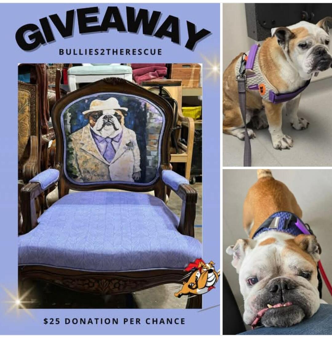 Campaign cover image for 🎟️ Win a Stunning Bulldog Armchair and Help Two Senior Dogs Heal 🐾