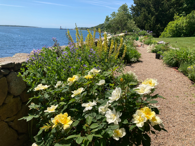 Campaign cover image for The Secret Gardens of Saunderstown