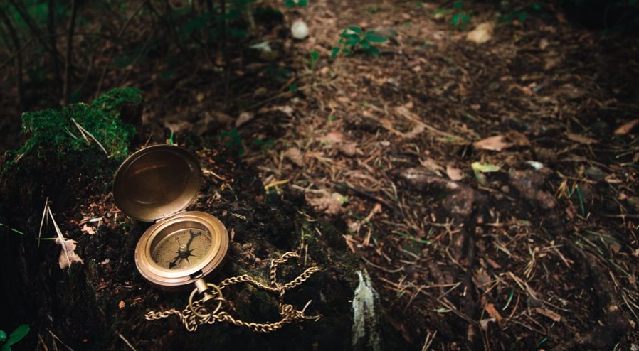 Campaign cover image for Solstice Poetry Circle