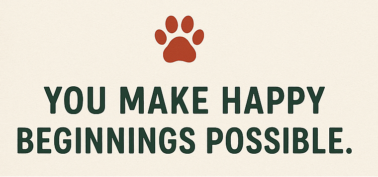 Campaign cover image for Home for the Holidays: Give the Gift of Home