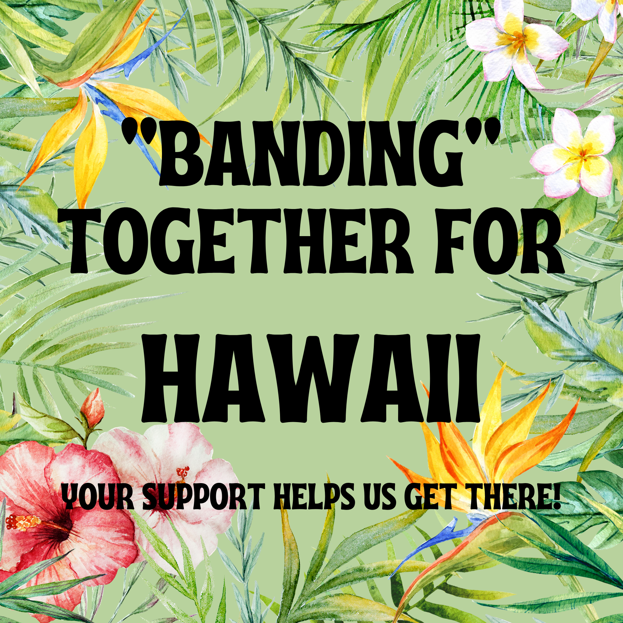 Campaign cover image for Help Us Get To Hawaii
