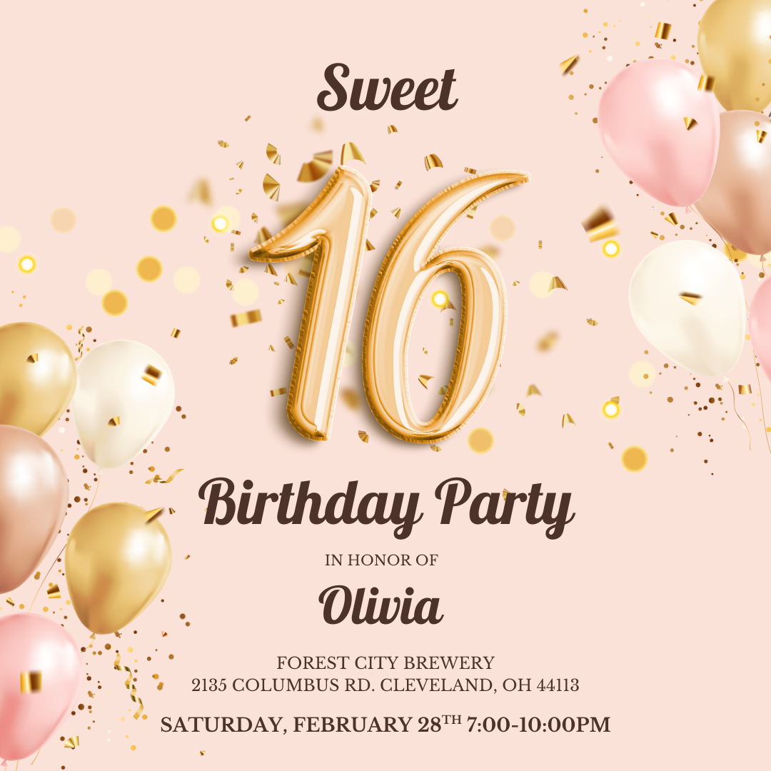 Campaign cover image for Olivia’s Sweet Sixteen Birthday Party