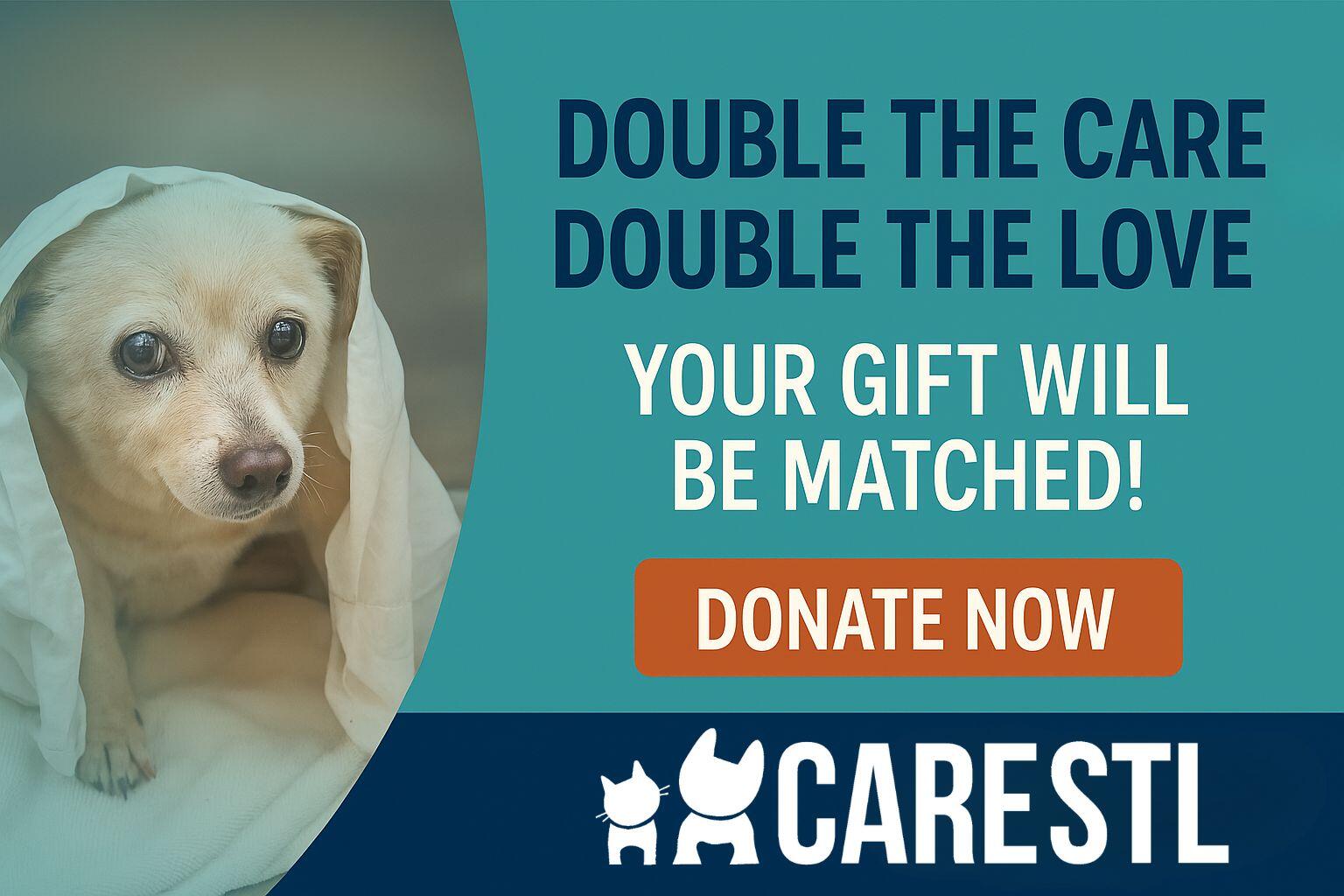 Campaign cover image for Double the care, Double the Love