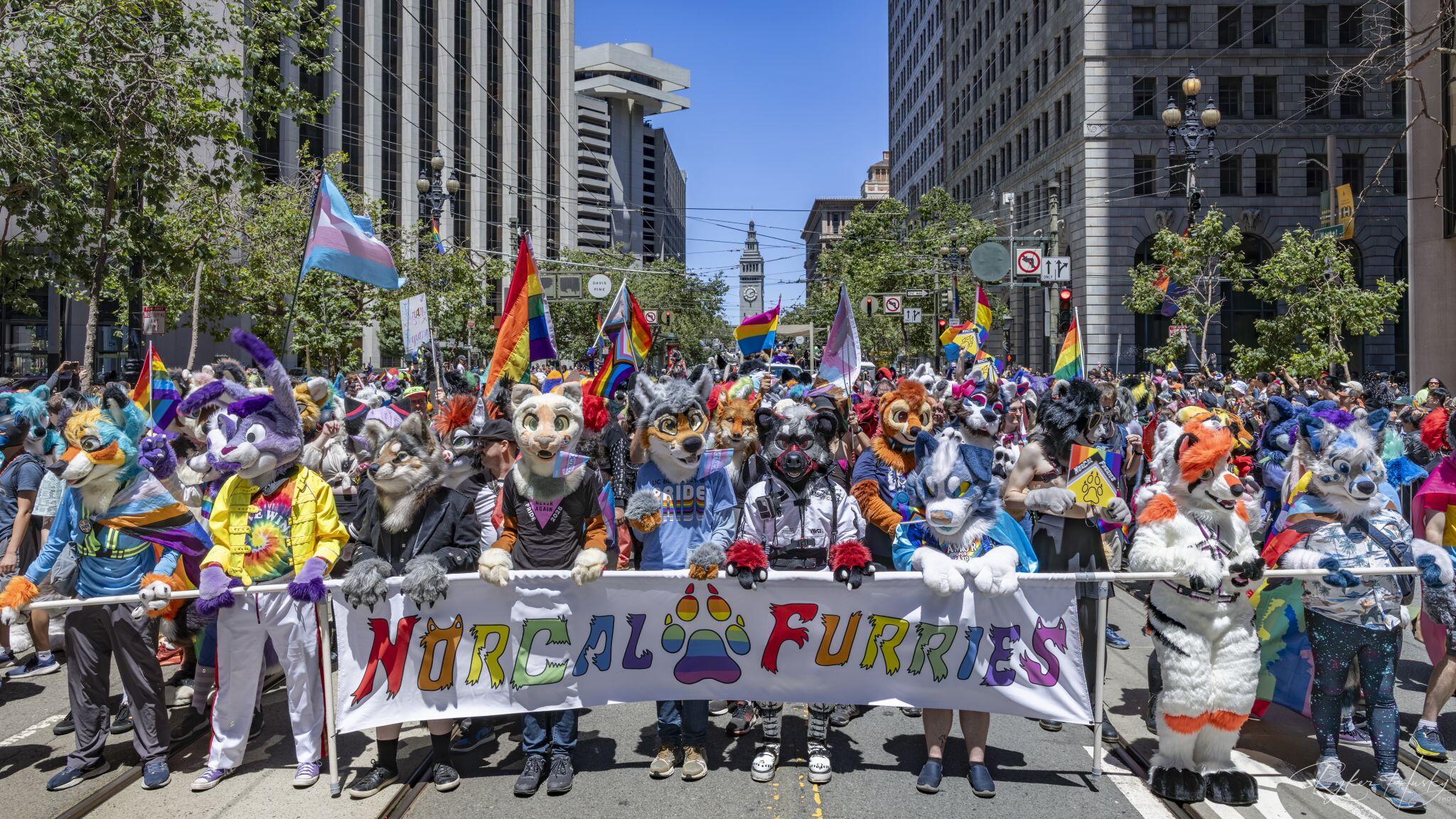Campaign cover image for Northern California Furries 2026 SF pride parade contingent