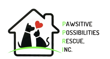 Campaign cover image for Save Their Little Lives Fundraiser