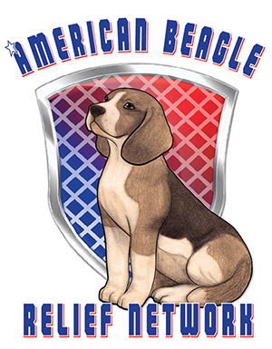 Campaign cover for Fund Grants for Medical Support For Beagle Rescue Groups