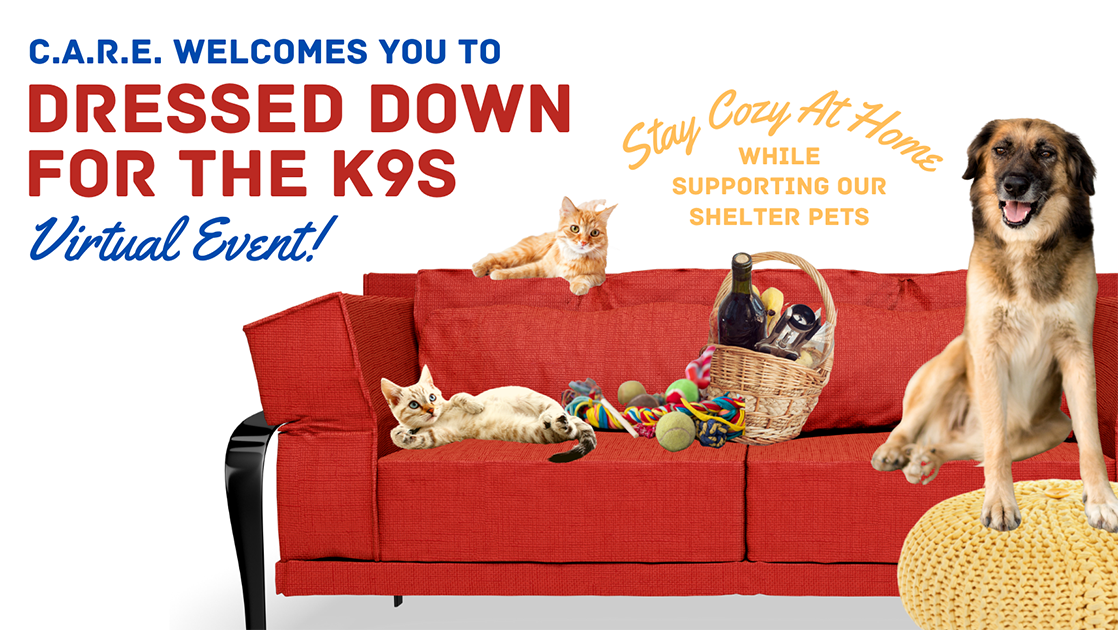 Campaign cover image for Dressed Down For The K9s