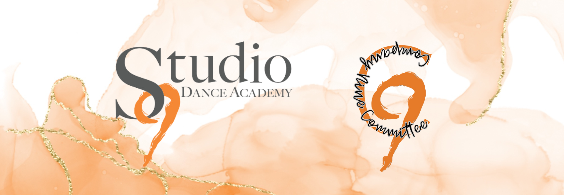 Campaign cover image for Dancing for a Cause