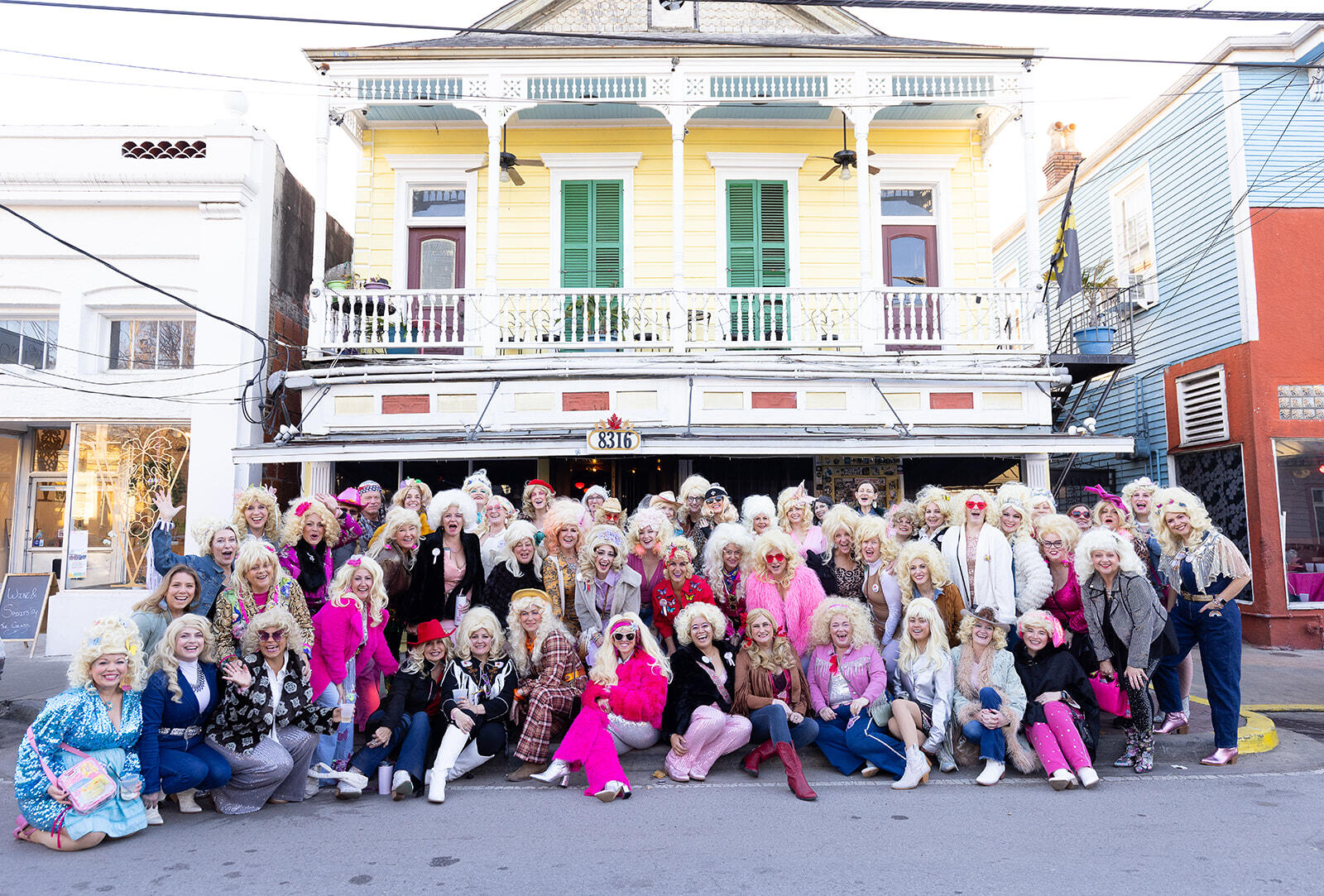 Campaign cover image for What Would Dolly Do? 2024-2025