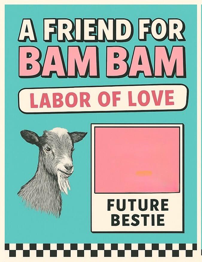 Campaign cover image for Labor of Love