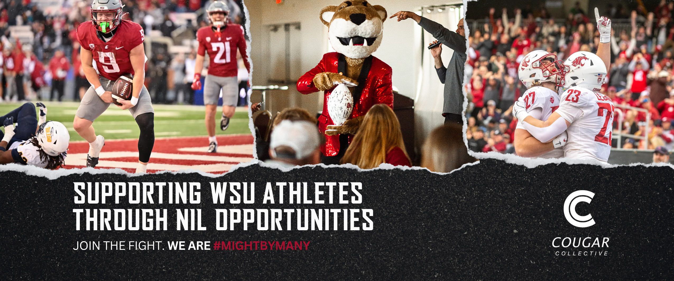 Campaign cover image for Cougar Collective 1890 Club