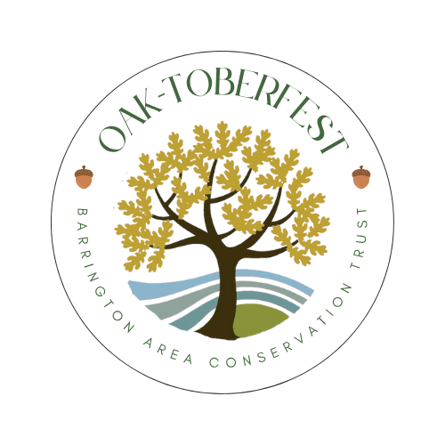 Campaign cover image for Oak-toberfest 2026