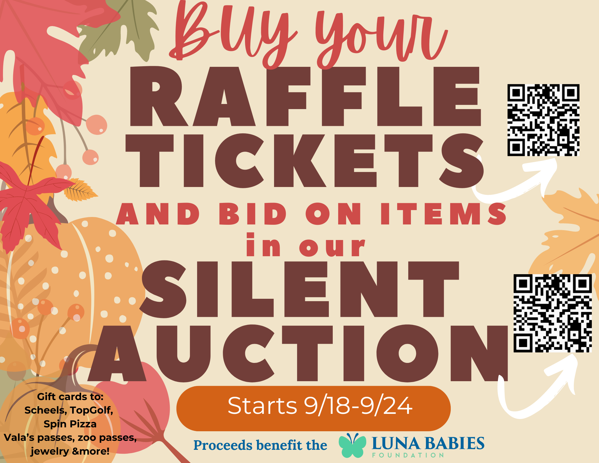 Campaign cover image for Luna Babies Day Auction