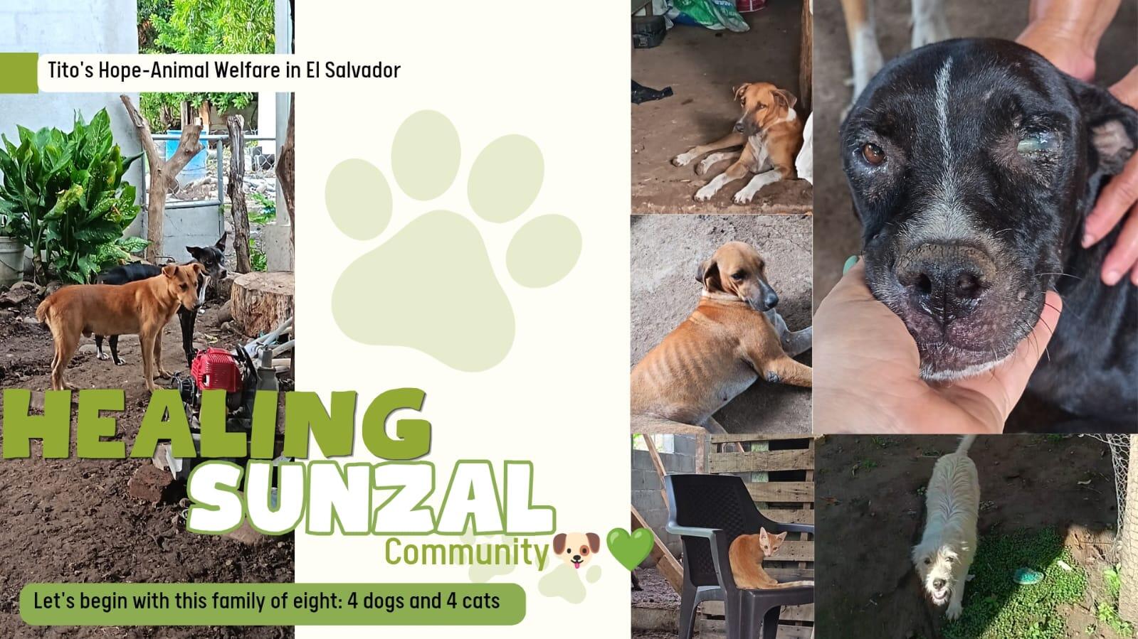 Campaign cover image for HEALING SUNZAL COMMUNITY