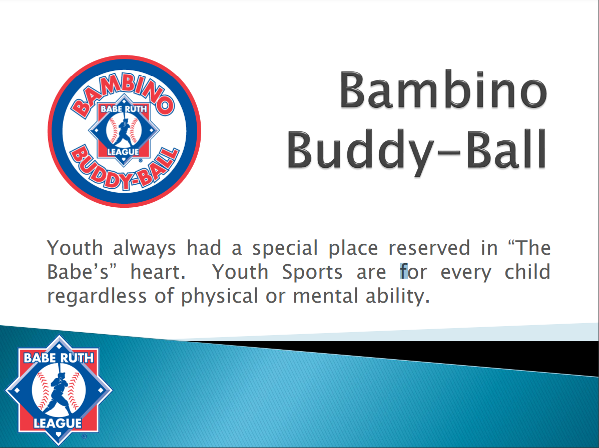 Campaign cover image for Silverdale Buddy Ball