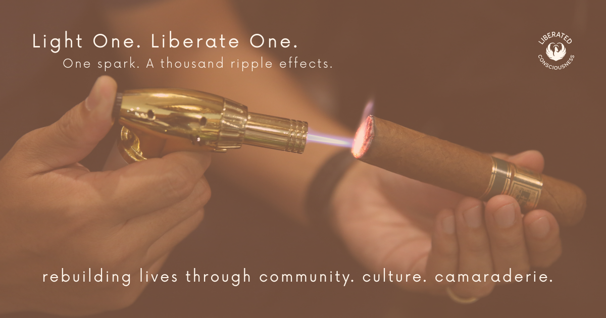 Campaign cover image for Light One. Liberate One.