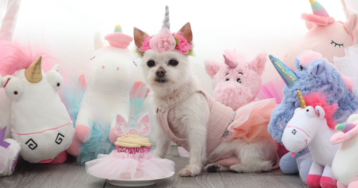 Campaign cover image for Delilah's Birthday Fundraiser - 2021