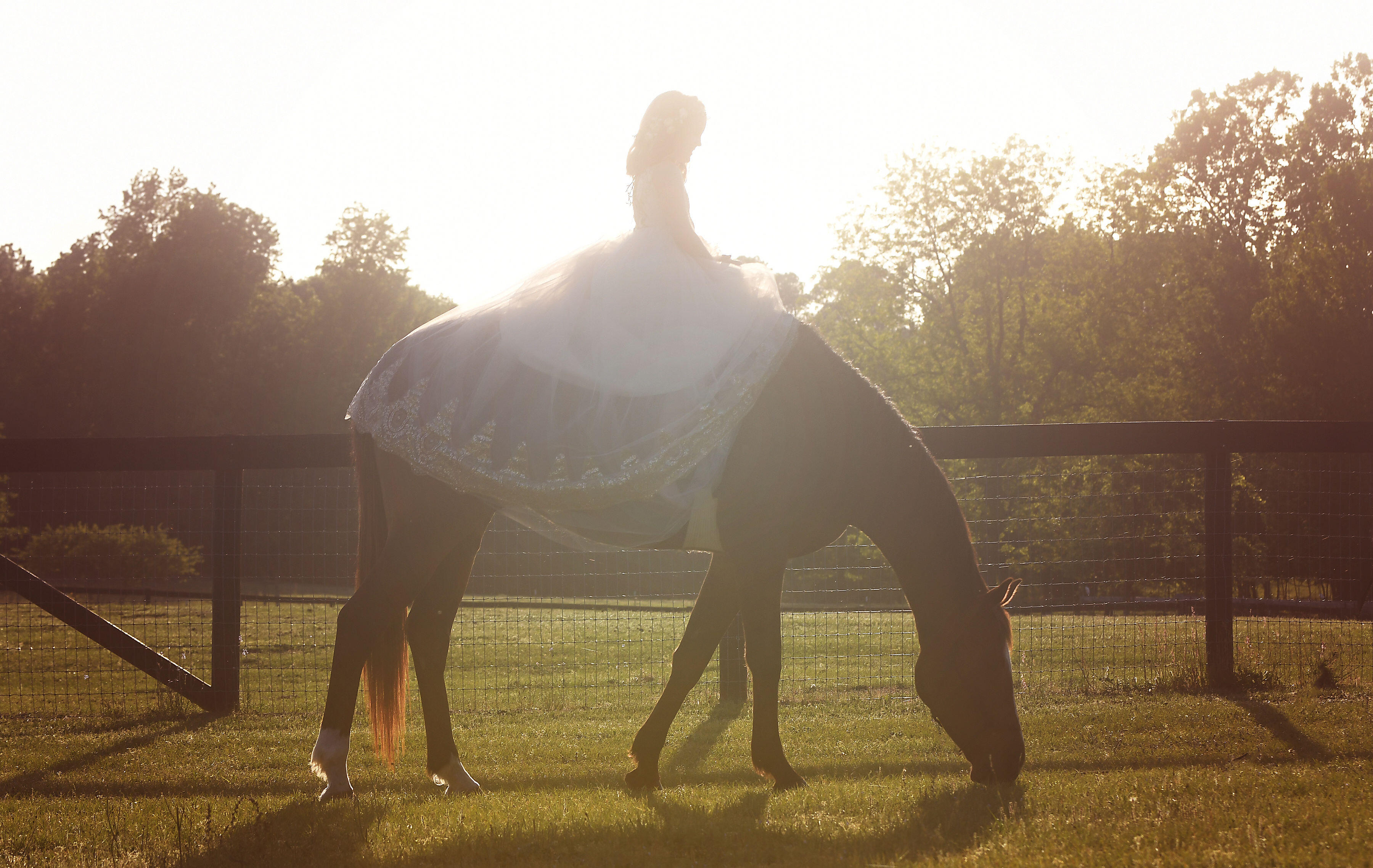 Campaign cover image for $25 Monthly Pledge