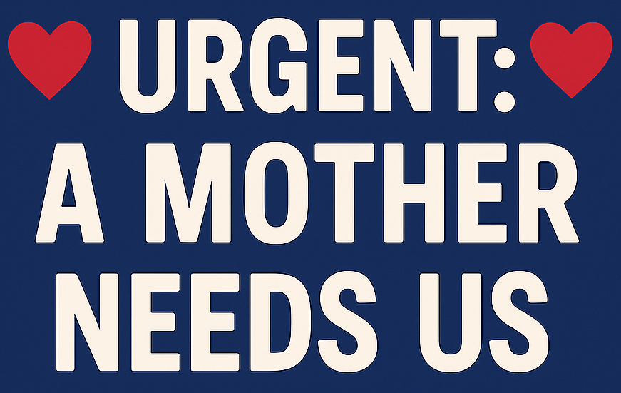 Campaign cover image for Urgent: Help Keep A Mother Housed !