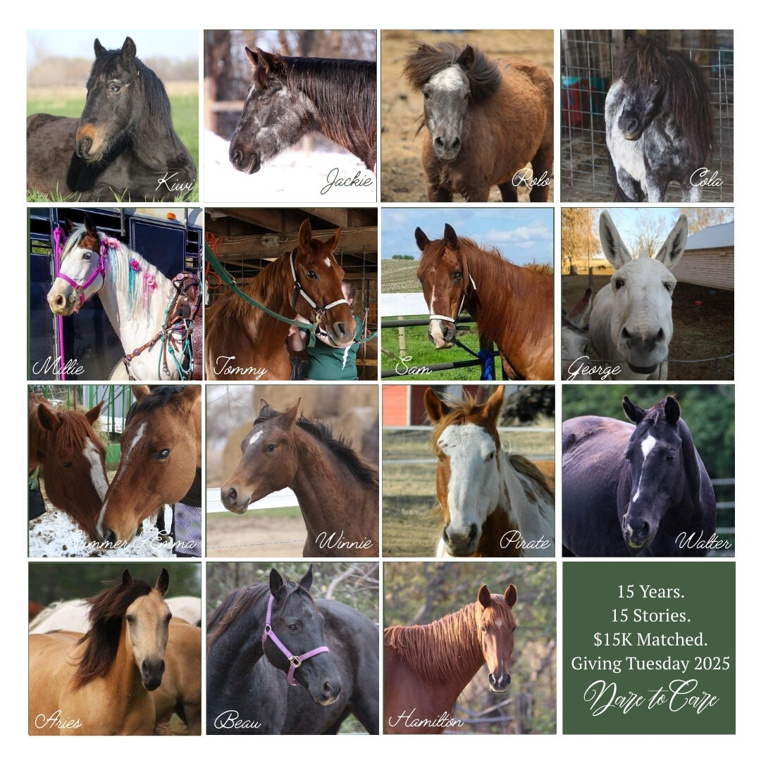 Campaign cover image for 15 Years of Caring: Neigh It Forward