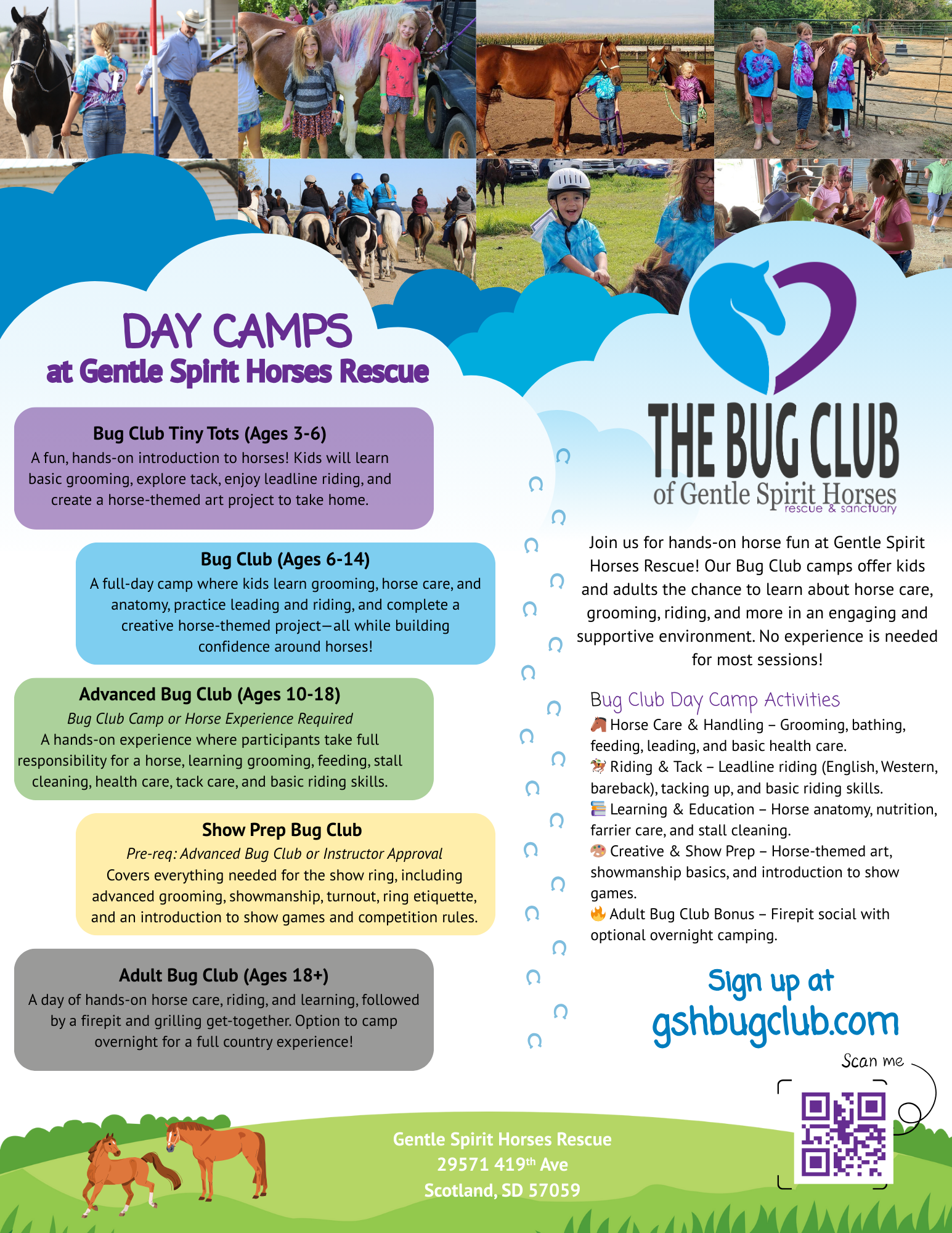 Campaign cover image for 2025 Bug Club Day Camps