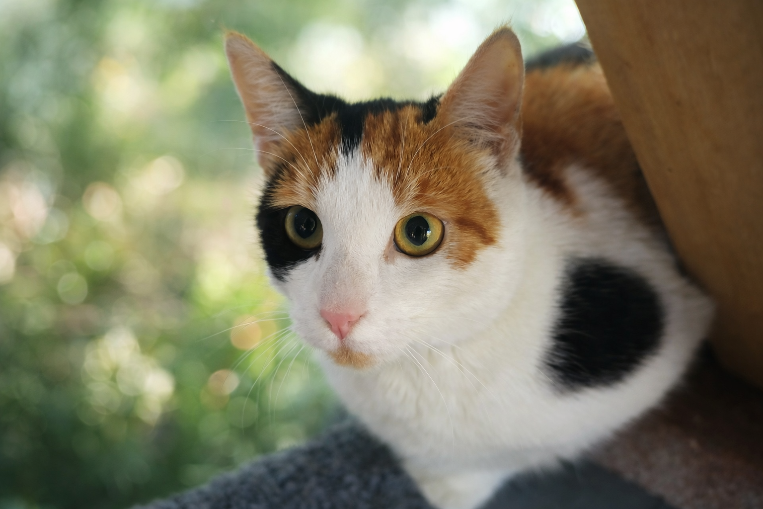 Campaign cover image for KayTayJ