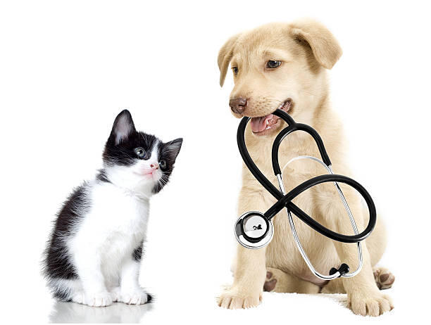 Campaign cover image for Medical Needs