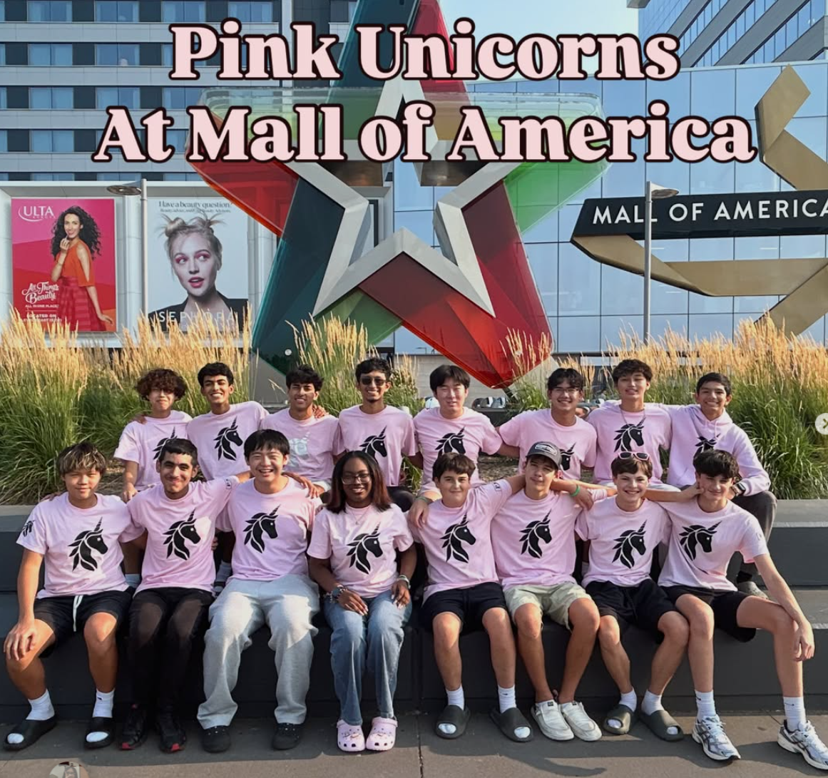 Campaign cover for 2145V - Pink Swirlee Unicorns