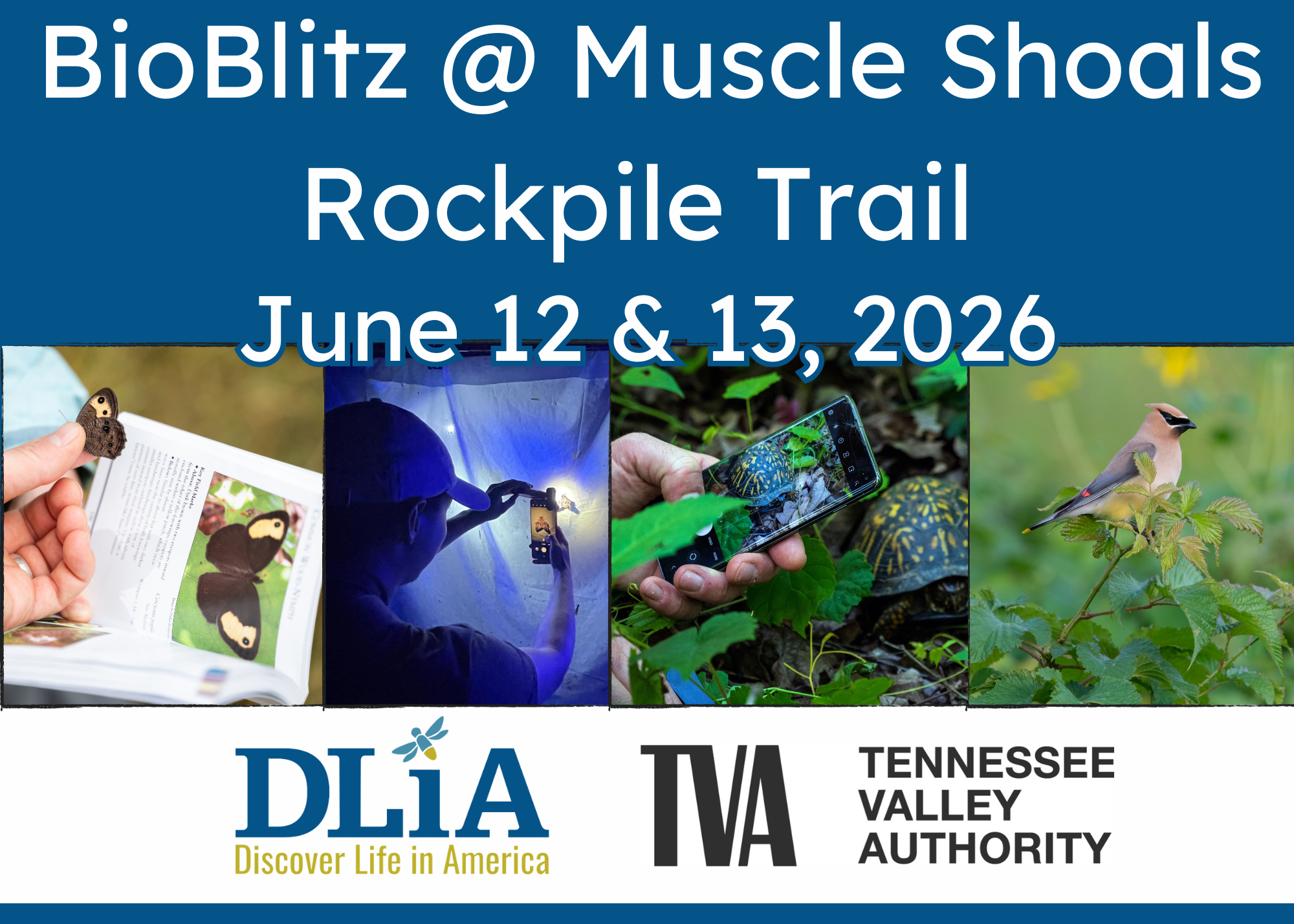 Campaign cover image for Muscle Shoals Rockpile Trail BioBlitz