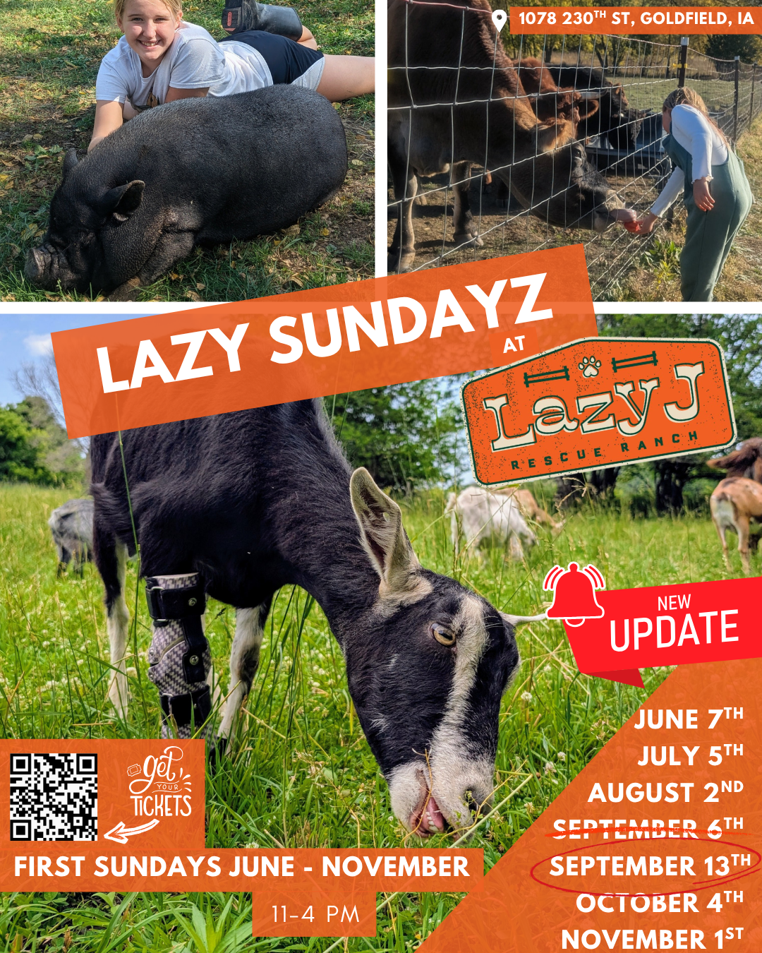 Campaign cover image for Lazy Sundayz at Lazy J Rescue Ranch