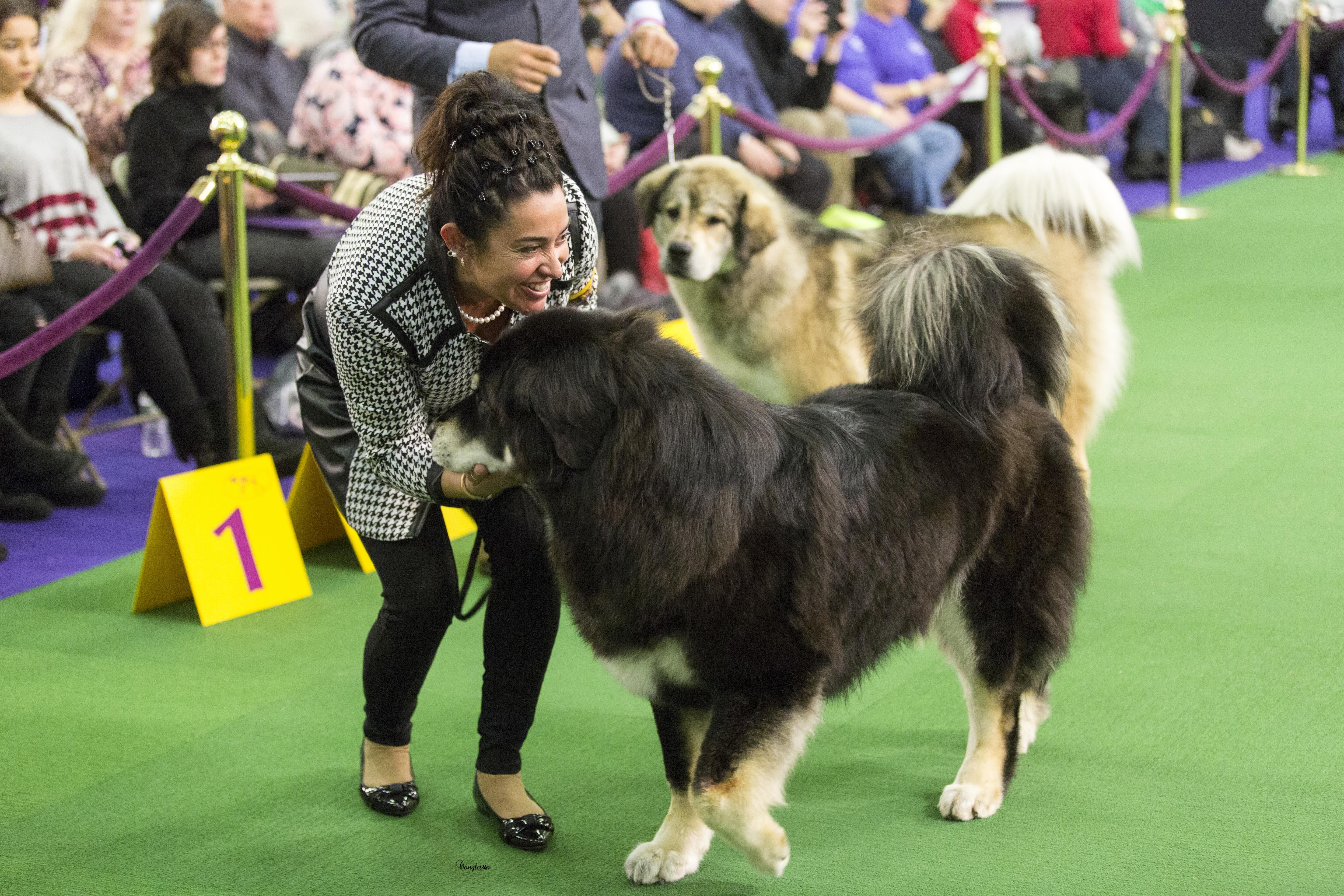 Campaign cover image for February 1, 2026: Club Best Practices