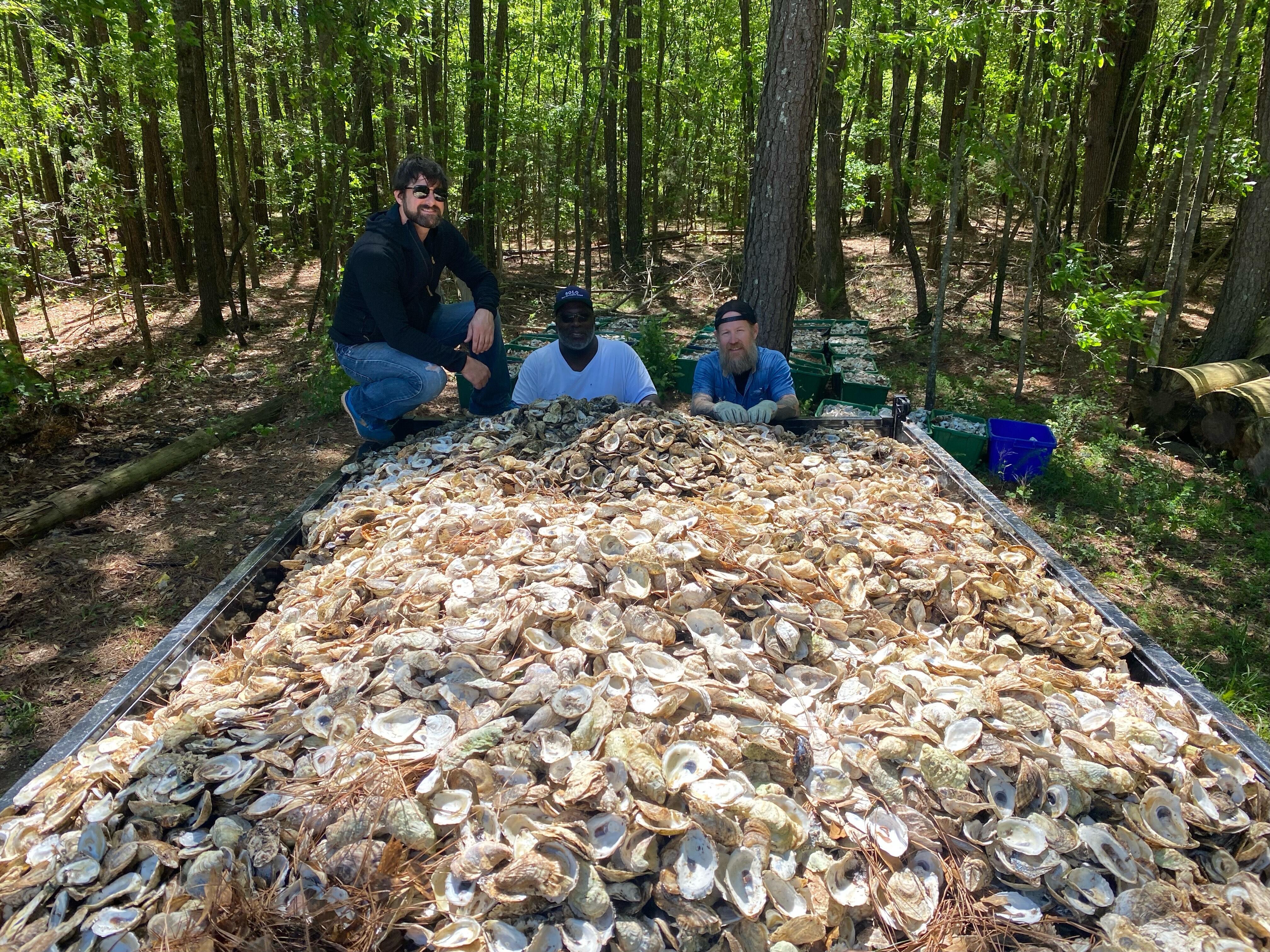 Campaign cover for Support Shell to Shore