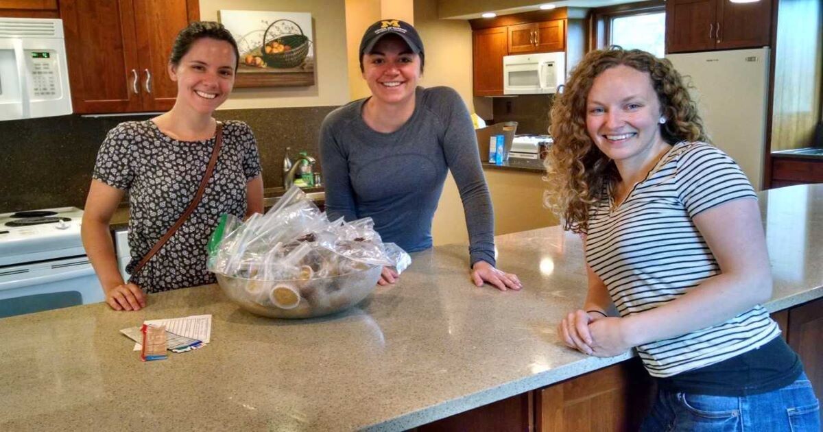 Campaign cover image for RMHC Ann Arbor- Red Shoe Crew