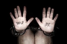 Campaign cover image for Freedom Walk