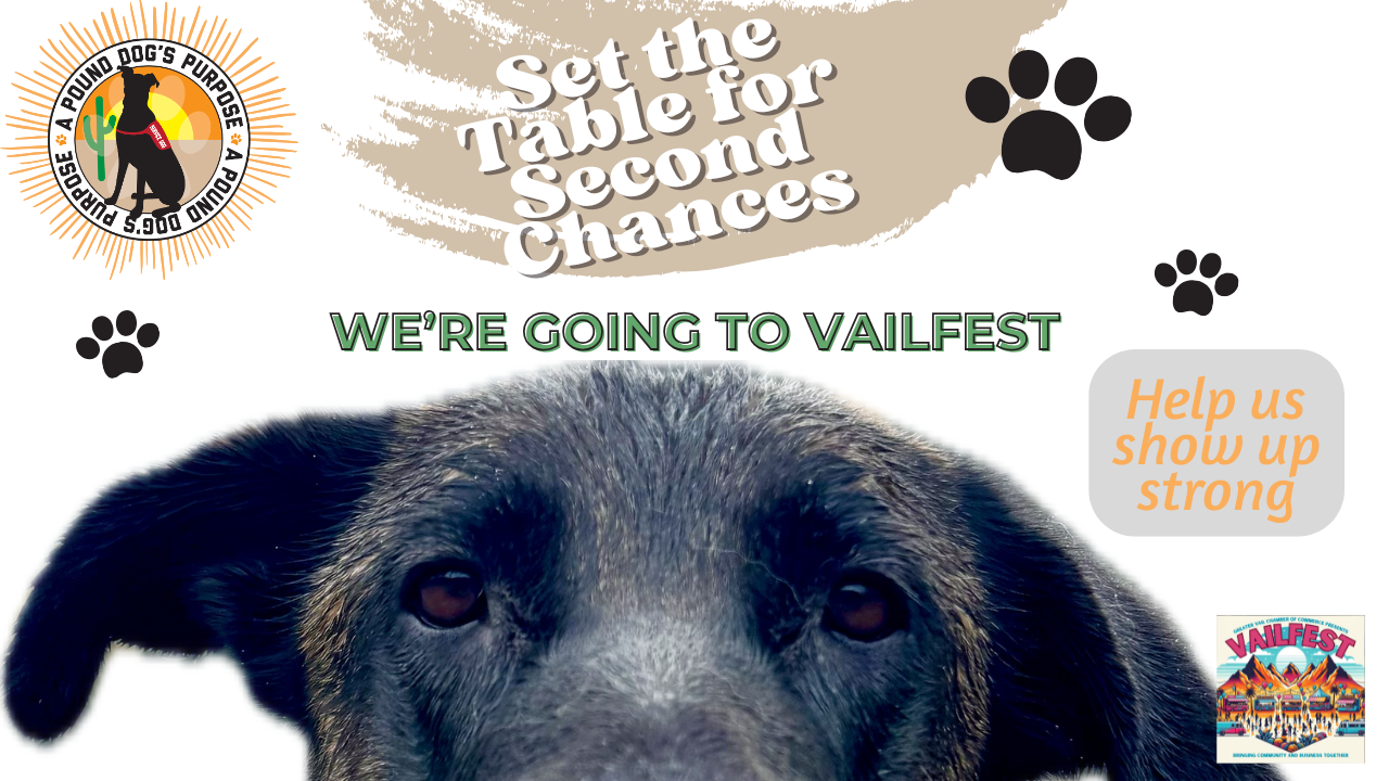 Campaign cover for Set the Table for Second Chances