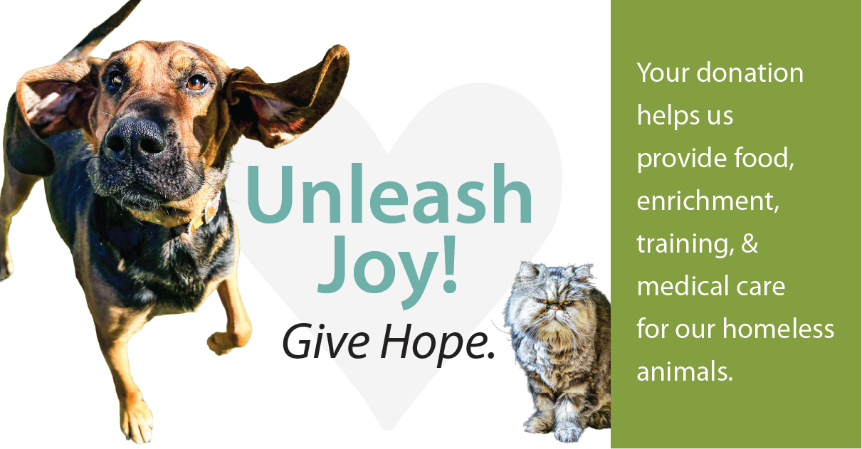 Campaign cover for BE THEIR HERO: Support Our Shelter's Daily Care Needs