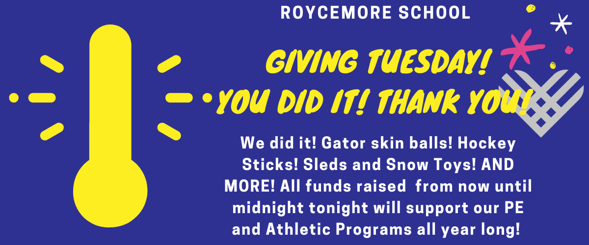 Campaign cover image for Giving Tuesday 2020 New Ways to Play!