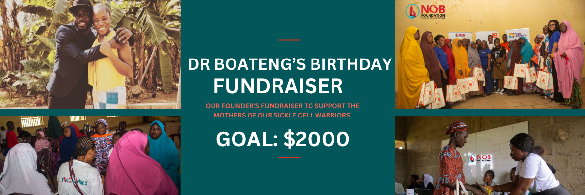 Campaign cover image for Support Our Founder's Birthday Fundraiser For Our Sickle Cell Warrior Moms