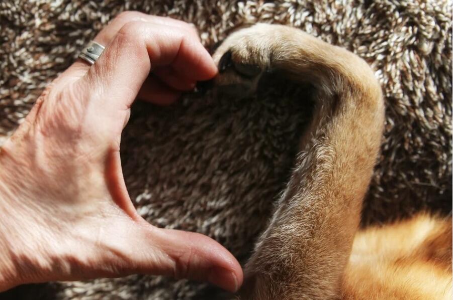 Campaign cover image for General Donation